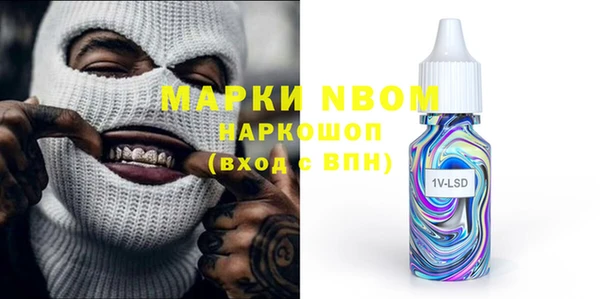 СК Алексин