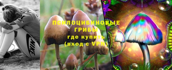 СК Алексин