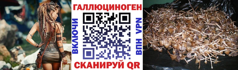 Галлюциногенные грибы мухоморы  omg сайт  Лесной  купить  