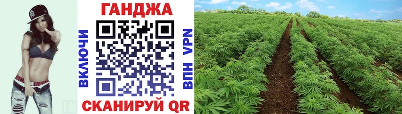 Канабис Bruce Banner  Лесной 